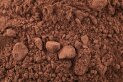 Натуральний какао-порошок, 10-12%, 25 кг